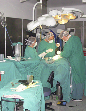 pabellones quirurgicos y anestesia