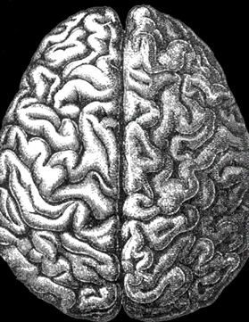 nefrologia