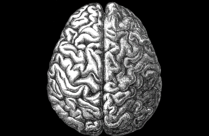 neurologia