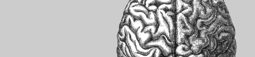 neurologia